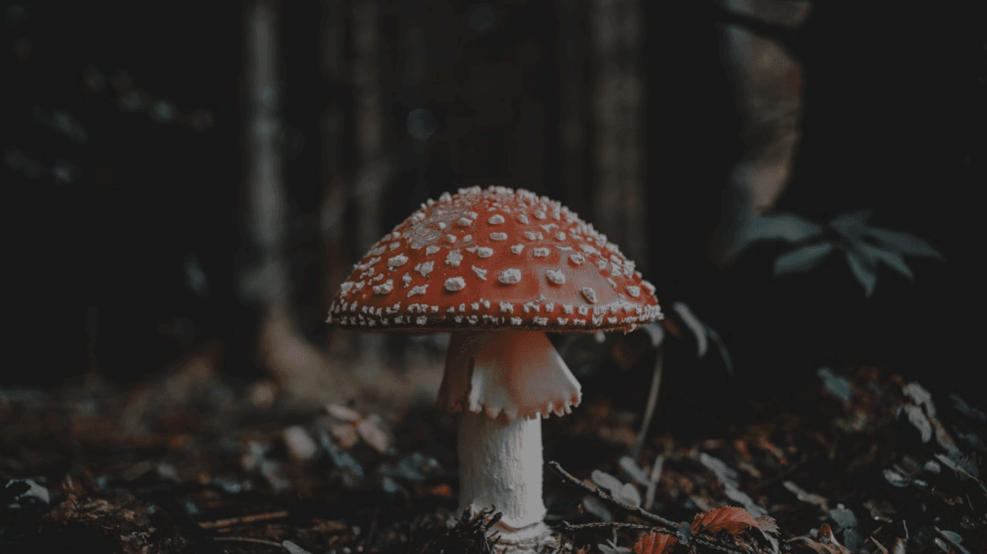 对比